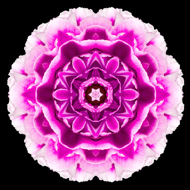 Fleur Violette Mandala Kaléidoscope Isolé sur Noir
 - Photo, image