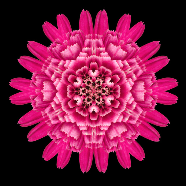 Fioletowy kwiat mandali Kalejdoskop na czarnym tle - Zdjęcie, obraz
