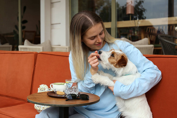Young woman enjoying the morning cup of matcha tea with her wire haired jack russell terrier pup. Close up, copy space, background. - Photo, Image