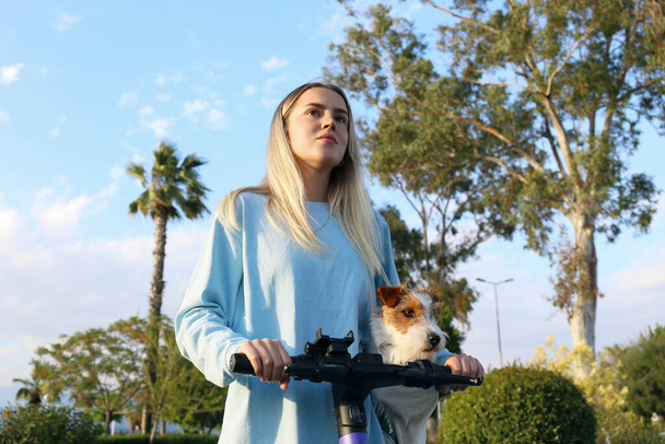 Young woman riding a rented electric scooter at the park with her wire haired jack russell terrier pup in a pet carrier bag. Close up, copy space, background. - Foto, Bild