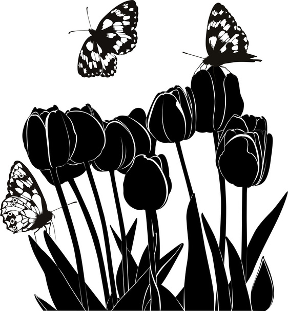 Тюльпаны и бабочки изолированы
 - Вектор,изображение