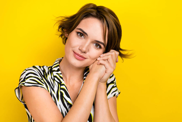 Closeup photo of dreamer girl lady hold hands near face admiring overjoyed wear print zebra blouse isolated yellow color background. - Fotografie, Obrázek