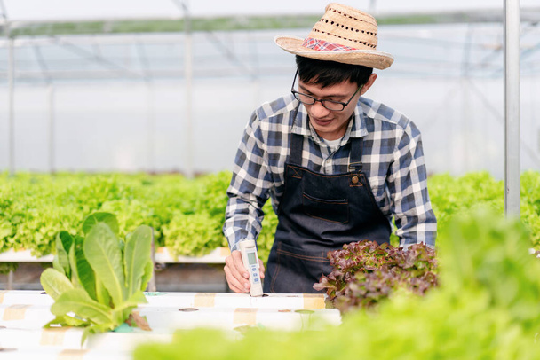 Tarım işçisi ve hidrofonik tarım kavramı, seradaki salata sebze çiftliği için hidroponik çiftliğinin su sistemini test etmek ve kontrol etmek için pH ölçer kullanan adam.. - Fotoğraf, Görsel