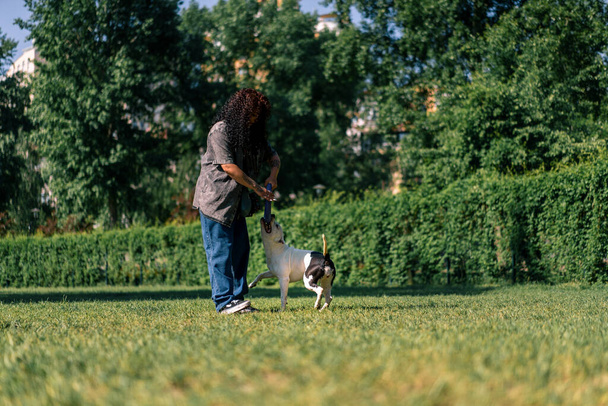 une jeune fille joue avec un chien blanc d'une grande race de pit-bull dans le parc avec un jouet le chien court après elle et tire jouet avec ses dents - Photo, image