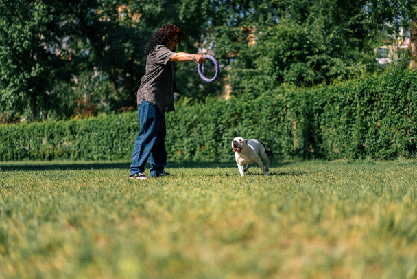 a young girl plays with a white dog of a large pit bull breed in the park with a toy the dog runs after her and pulls toy with its teeth - Fotografie, Obrázek
