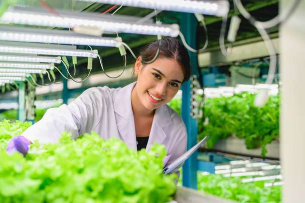 Biologist checking quality and recording growing of hydroponic vegetable in greenhouse, Smart farm with technology, People with indoor farm factory, Researcher checking vegetable at greenhouse - Φωτογραφία, εικόνα