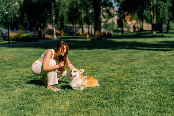 egy kutya pszichológus leszidja egy aranyos corgi, hogy nem engedelmeskedik a parkban a tulajdonos beszél a kutya egy séta nyári természet állatok - Fotó, kép