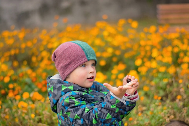 Little boy in the autumn park. Children's emotion of surprise. The boy shows his palm - Photo, Image