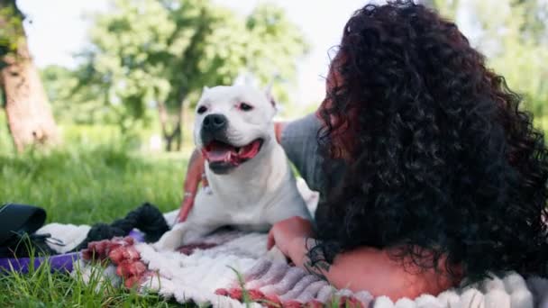 美しい白い犬のピットブルスタッフォードシャーテリア公園の散歩中に彼女を舐めているオーナーと休憩 - 映像、動画