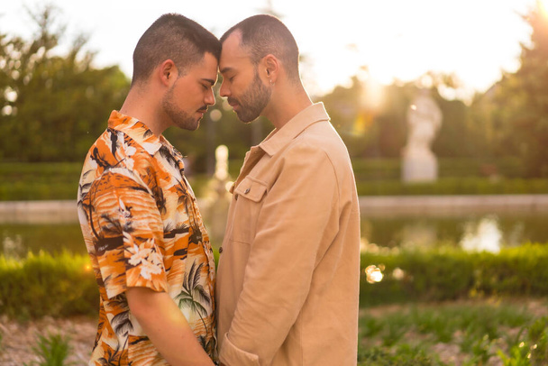 Romantyczny portret homoseksualnej pary obejmujący zachód słońca w parku w mieście. Różnorodność i koncepcja lgbt - Zdjęcie, obraz