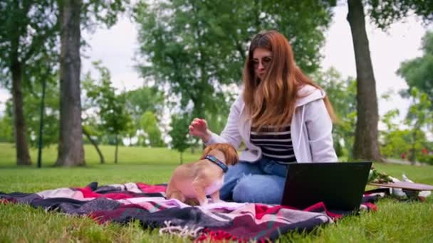 un pequeño perro lindo divertido con su propietario en un paseo por el parque una chica trabaja en un perro de la computadora protege a sus mascotas de trabajo remoto - Imágenes, Vídeo