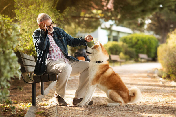 Smiling caucasian senior man with beard in glasses gives snack to dog, play game, training in park, outdoor. Love, walk with animal, pet and fun together, retirement and active lifestyle - Fotó, kép
