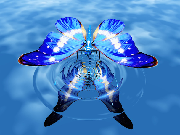 A borboleta
 - Foto, Imagem