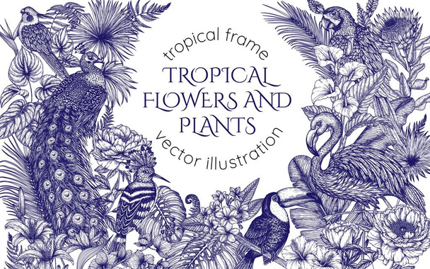  Vektorový rám s tropickou zahradou s exotickými ptáky. Papoušek, tukan, hoopoe, pávi, plameňáci a papoušek kohoutí v ryteckém stylu - Vektor, obrázek