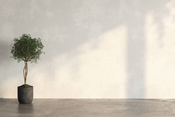 пустая комната с бетонной стеной и растением. 3 d иллюстрация  - Фото, изображение