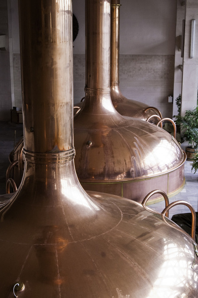 Réservoirs de fermentation de la bière utilisés dans le processus de brassage
 - Photo, image