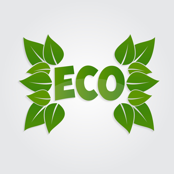 Eco friendly sticker, tag or label with green leaves. - Вектор,изображение