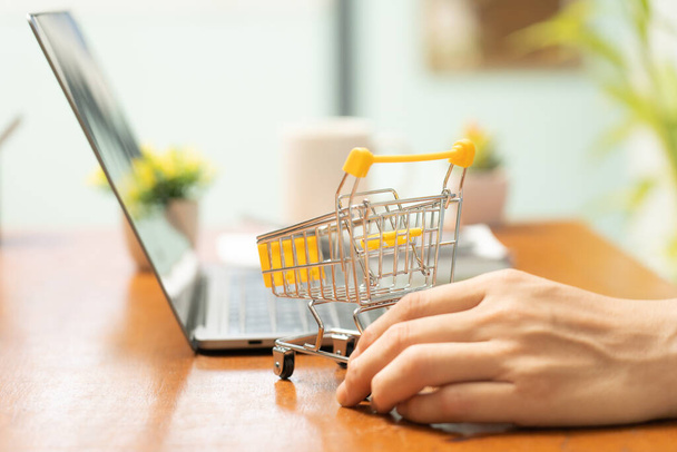Shopping online with small shopping cart and credit card offers convenient and efficient way to purchase limited number of items, allowing for easy browsing, secure transactions,and seamless checkout. - Foto, afbeelding