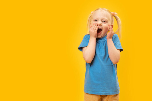Забавная маленькая седовласая девочка с двумя хвостиками в голубой футболке. Желтый фон. Ребенок смеется, закрывая рот рукой. Копирование пространства. - Фото, изображение