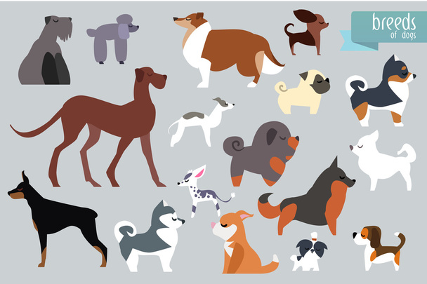 Different Breeds Of Dog. - Vector, Image
