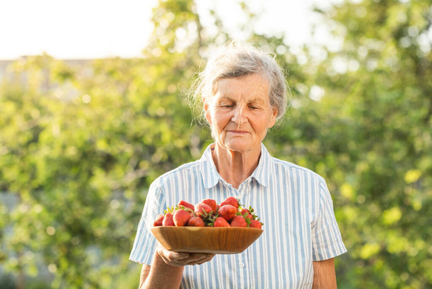 Šťastná starší běloška sbírající jahody v zahradě při západu slunce nebo při východu slunce. Starší dáma farmář s šedými vlasy drží dřevěnou mísu plnou čerstvých červených jahod - Fotografie, Obrázek