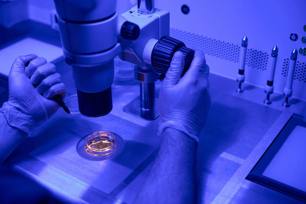 Embryologist adding special nutrients that embryos need during critical early stages of their development, working under microscope - Zdjęcie, obraz