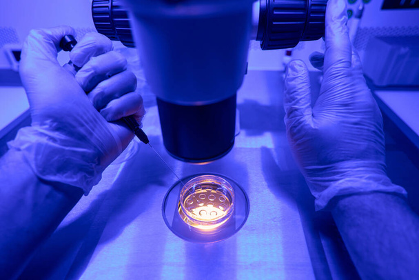 Laboratoriummedewerker die cellen van embryo 's onder microscoop bestudeert om het ontwikkelingsstadium te analyseren en te groeien - Foto, afbeelding