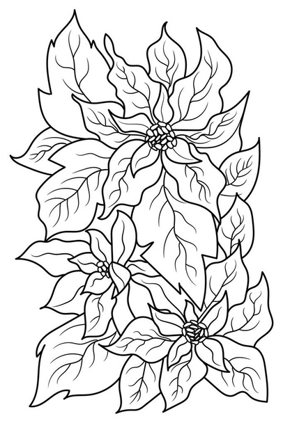  Poinsettia flower coloring page for adults. Vector illustration - Vektör, Görsel