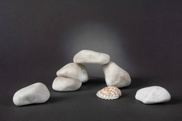 SONY DSC White sea stones, treated with sea water, look good on a gray background, photographed in a studio with artificial lighting. - Foto, afbeelding