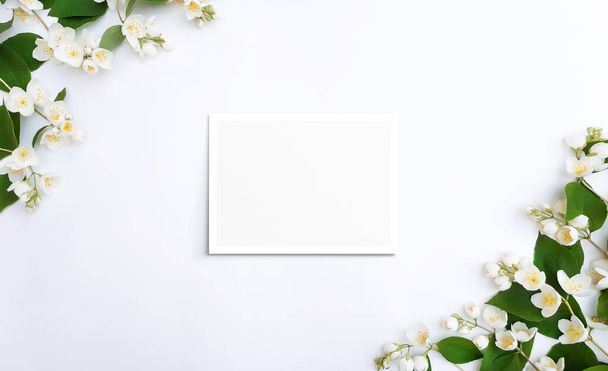 Composition of blooming jasmine, blank card. Green leaves with flowers on a white background. Summer nature concept for Birthday, Valentines day, Womens day. Flat lay, top view, close up, copy space - Zdjęcie, obraz