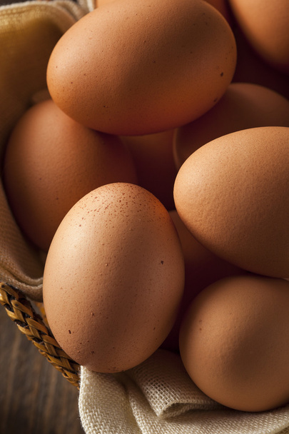 Raw Organic Brown Eggs - Photo, Image