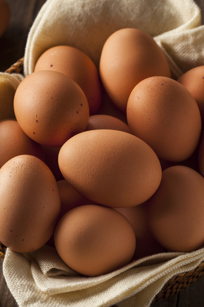 Raw Organic Brown Eggs - Photo, Image