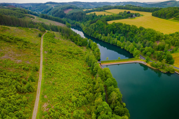 Aerial view of green summer forest and blue river, landscape - Foto, Bild