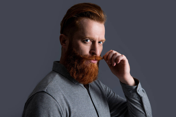 Portrait of Irish man twirling mustache half turn. Bearded man with unshaven face. Serious man with beard studio isolated on grey. - Fotografie, Obrázek