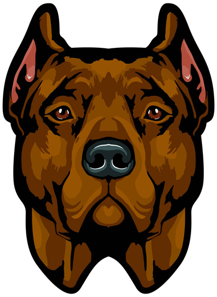 vectorafbeelding van hond bulldog  - Vector, afbeelding