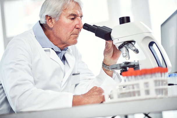 Faites attention aux détails. un homme scientifique âgé concentré regardant à travers un microscope tout en étant assis à l'intérieur d'un laboratoire - Photo, image