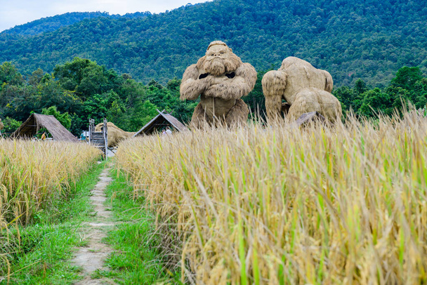 King Kong Straw Puppet in Rice Field, Chiang Mai Province. - Valokuva, kuva
