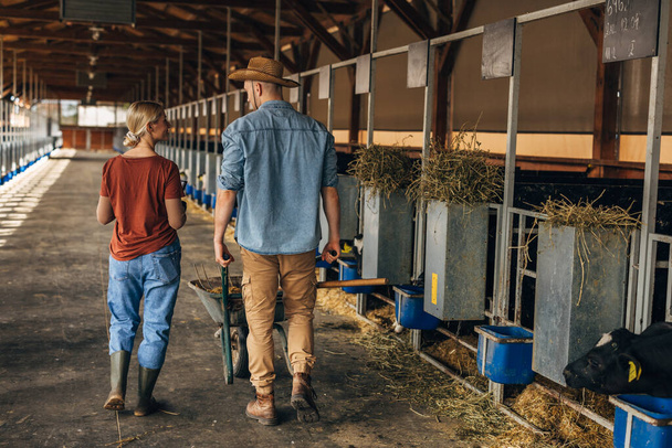 Back view of a male and female farmer walking trough a stable together. - Foto, Imagen
