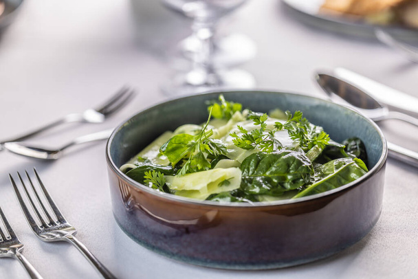 Kohlrabi and spinach leaves salad in a dark bowl in the restaurant. - Фото, зображення