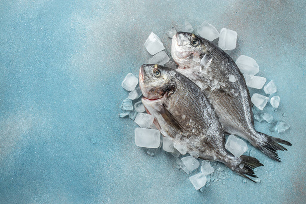 Raw fresh dorado or sea bream on ice cubes on blue concrete background. place for text, top view. - Fotografie, Obrázek