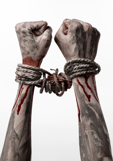 Hands bound,bloody hands, mud, rope, on a white background, isolated, kidnapping, zombie, demon - Fotó, kép