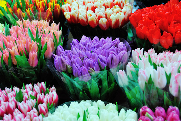Πολύχρωμες τουλίπες για την πώληση στην αγορά των λουλουδιών - Φωτογραφία, εικόνα