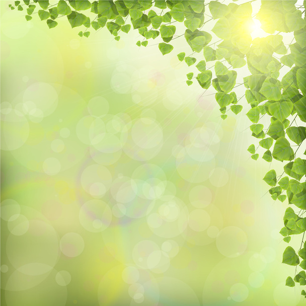 Tree Leaves on Abstract Green Background. - Vector, Image