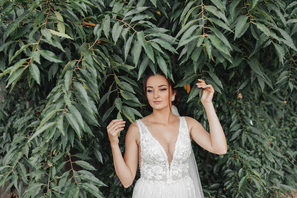 Wedding photo on a green background. The bride in a white dress stands near green bushes, holds a leaf and looks down. Beautiful makeup. Portrait of the bride - Foto, afbeelding