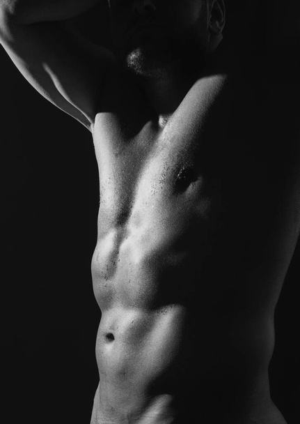 Nude man torso. Cropped body of sexy muscular naked gay - Foto, Bild