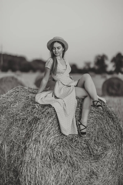Portrait of a young girl. A girl in a blue dress sits on top of hay bales - high quality photo. Long straight hair. Nice color. Summer. Portrait - Fotografie, Obrázek