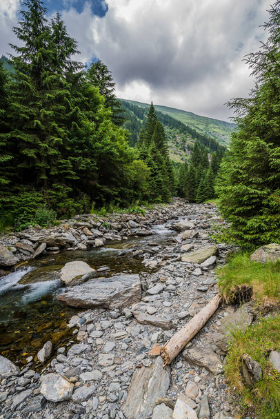 Creek next to Transfagarasan Road in Carpathian Mountains in Romania - Фото, изображение