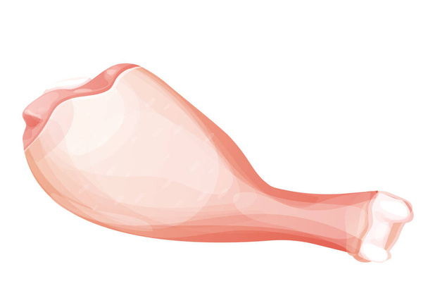 Hühnerbein, rohe Drum-Stick-Draufsicht im Cartoon-Stil isoliert auf weißem Hintergrund. Vogelfleisch ungekocht, Zutatendesign. Vektorillustration - Vektor, Bild