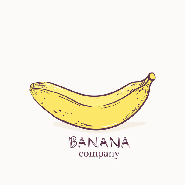 Ilustração vetorial do modelo do logotipo da banana
 - Vetor, Imagem
