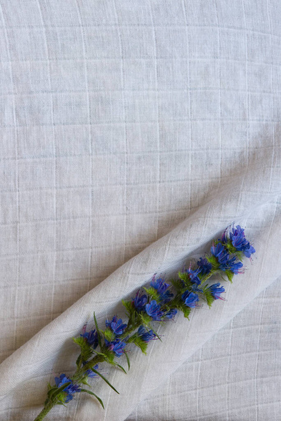 Beautiful flower arrangement. Delicate branch of blue flowers, free space for text on a light white textile background. Wedding, birthday. Valentine's day, mother's day. top view. Vertical photo. - Foto, Bild